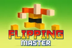 Flipping Master