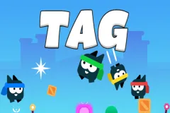 Tag Game