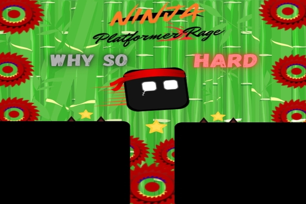 Ninja Platformer Rage